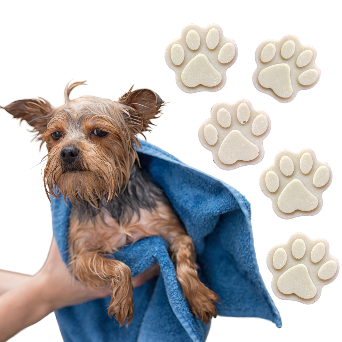 In My Soap Pot Natural Dog Soap Special Edition DIY Soap Box